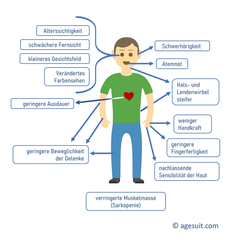 Alterssimulationsanzug Einzelsimulationen Leistungsmerkmale